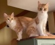 Louis und Estrella (Copy)